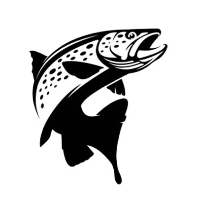 Vermont Guided Fly Fishing